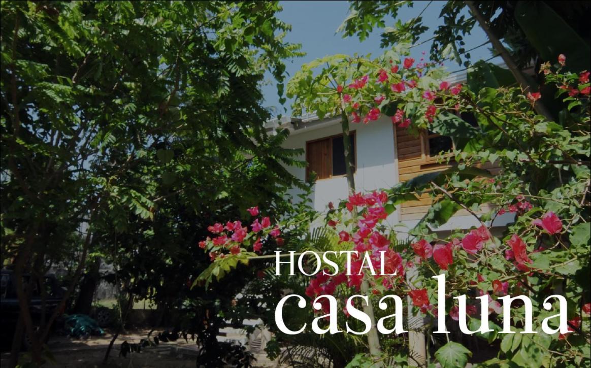 Hostal Casaluna San Andres Dış mekan fotoğraf